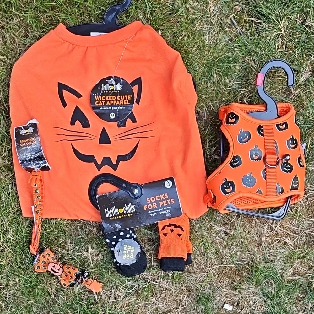 Orange Cat Face Pet Harness Set